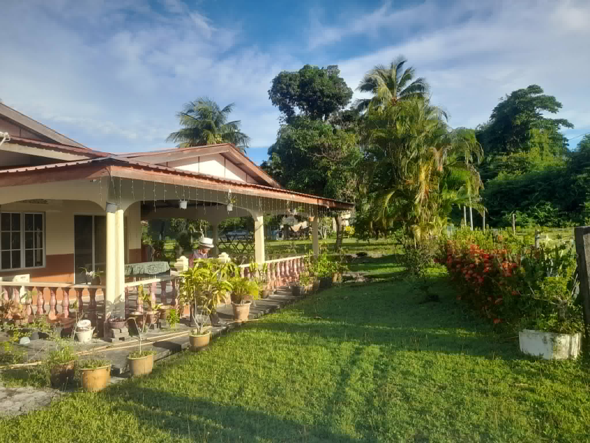 Backyard of the homestay