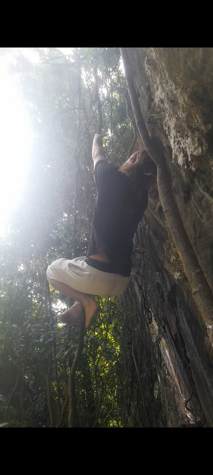 Jungle liane swing